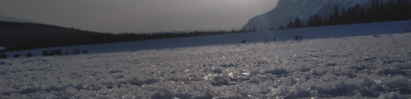 Bow Valley Free Range's cover image