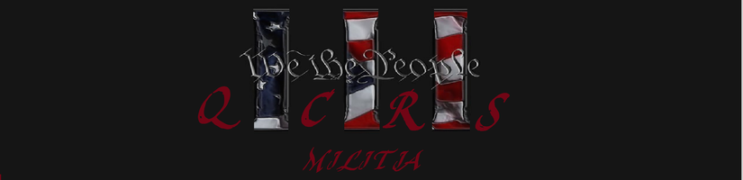 U.S. Militia Service (USMS) -QCRS's cover image